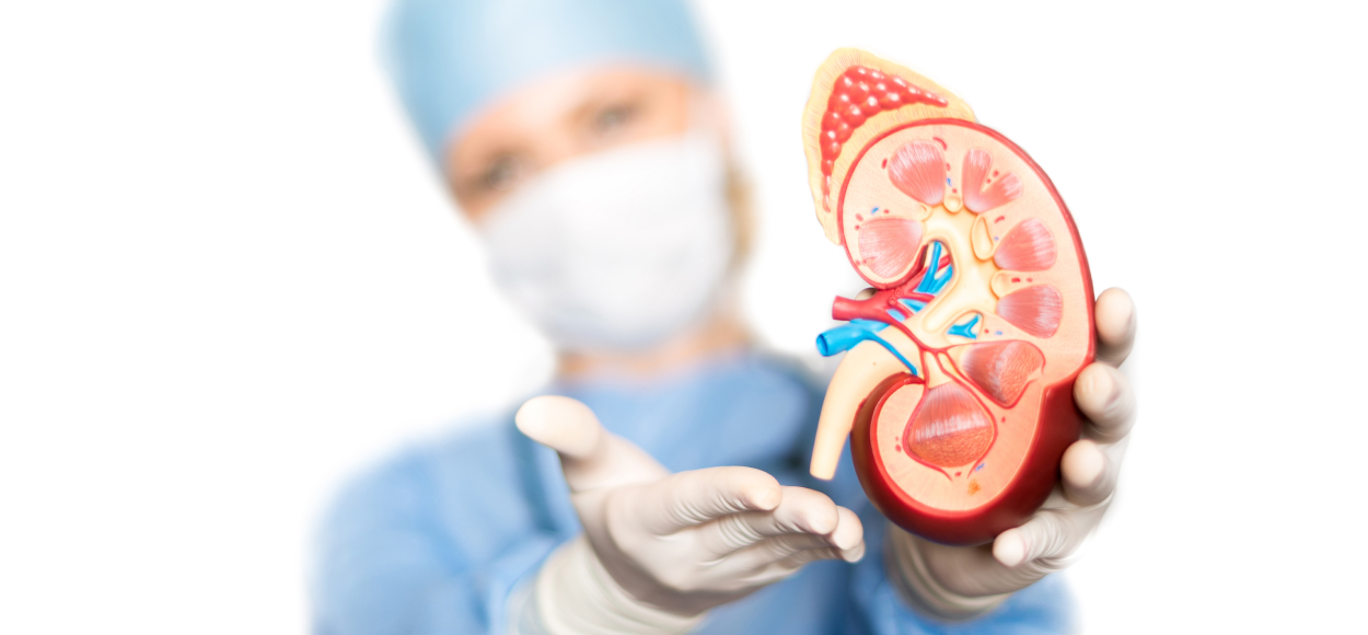 Nephrology