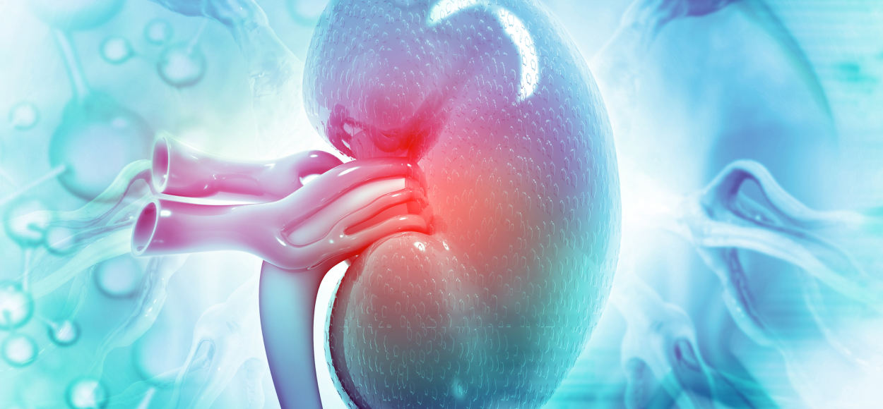 Urology