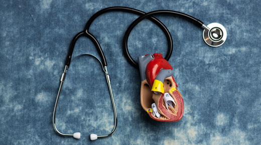 Heart Valve Repair & Replacement